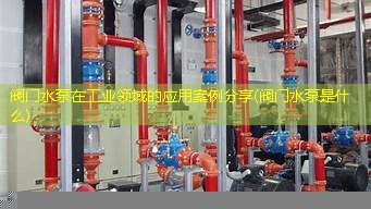 阀门水泵在工业领域的应用案例分享(阀门水泵是什么)